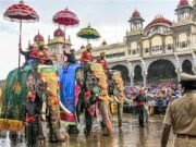 ವಿಶ್ವವಿಖ್ಯಾತ ಮೈಸೂರು ದಸರಾಗೆ ದಿನಗಣನೆ; ನಾಳೆ ಮೈಸೂರಿಗೆ ಆಗಮಿಸಲಿರುವ ಗಜಪಡೆ