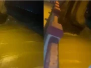 ತುಂಗಭದ್ರಾ ಡ್ಯಾಮ್ ನ ಕ್ರಸ್ಟ್ ಗೇಟ್ ಕಿತ್ತು ಹೋಗಿರೋ ವಿಚಾರ ;ನಾಳೆ ತುಂಗಭದ್ರಾ ಜಲಾಶಯಕ್ಕೆ ಬಿ ವೈ ವಿಜಯೇಂದ್ರ ಭೇಟಿ